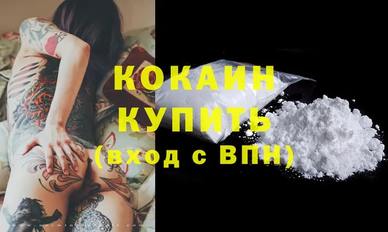 цена   shop официальный сайт  Кокаин FishScale  Камызяк  МЕГА как войти 