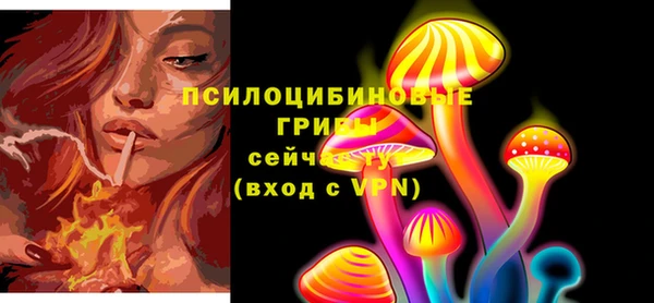 меф Анива