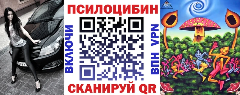 blacksprut вход  закладка  Камызяк  Галлюциногенные грибы Cubensis 